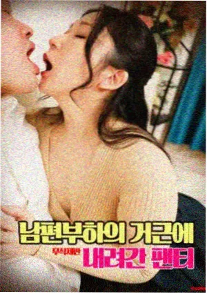 旧城来信
